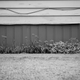 The black and white edit